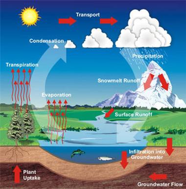 Picture of the Earyh's Water Cycle